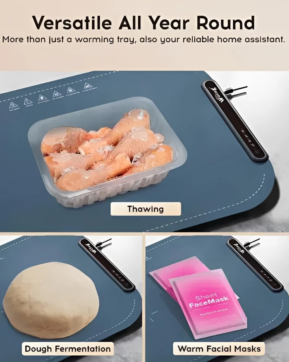 Portable Warming Trays